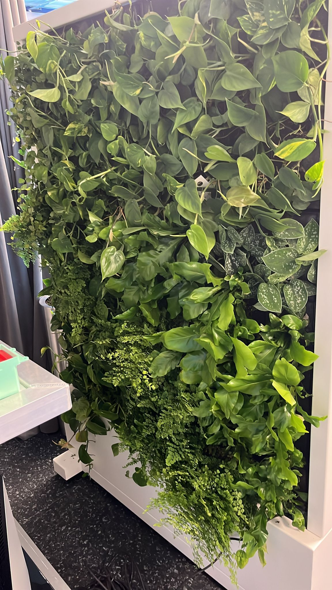 Grote plantenbak kantoor met verticaal groen en bewateringssysteem – RVS maatwerk Oostzaan